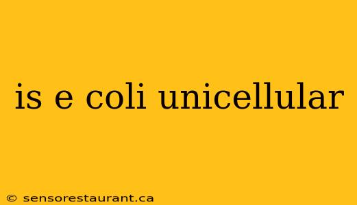 is e coli unicellular