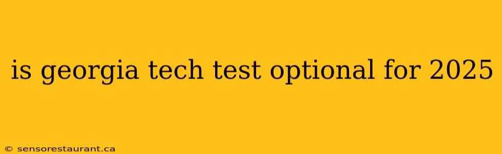 is georgia tech test optional for 2025