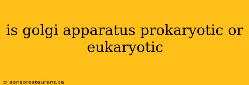 is golgi apparatus prokaryotic or eukaryotic