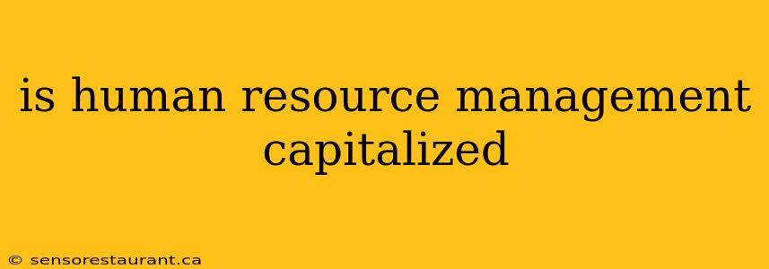 is human resource management capitalized