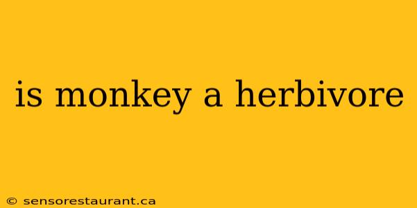 is monkey a herbivore