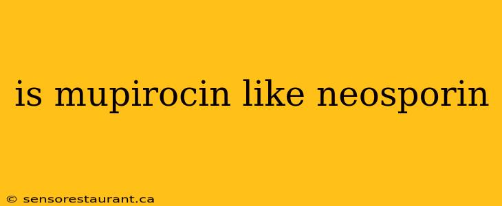 is mupirocin like neosporin