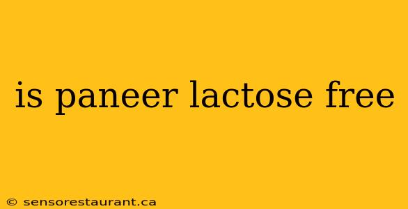 is paneer lactose free