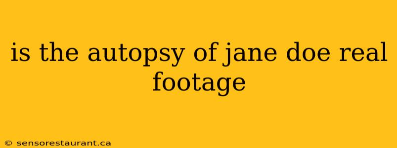 is the autopsy of jane doe real footage