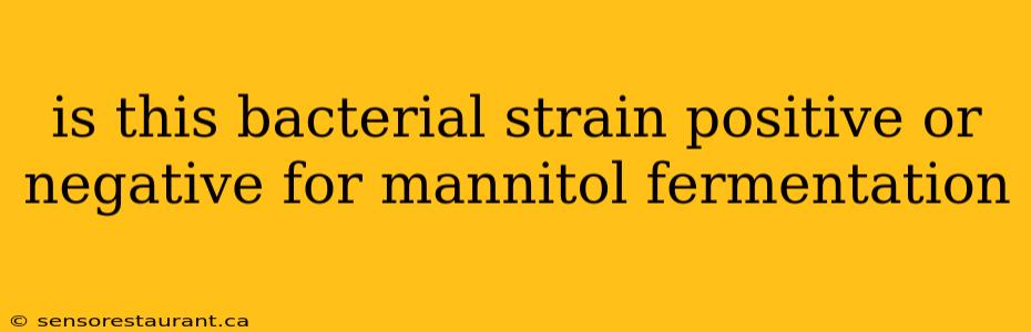 is this bacterial strain positive or negative for mannitol fermentation