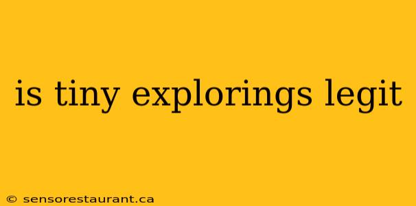 is tiny explorings legit