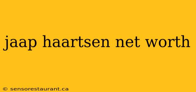 jaap haartsen net worth