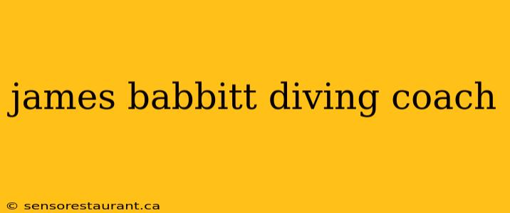 james babbitt diving coach