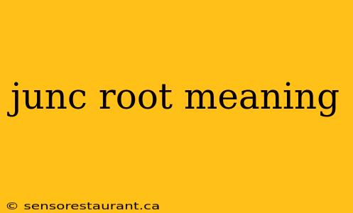 junc root meaning