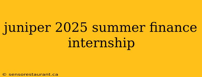 juniper 2025 summer finance internship