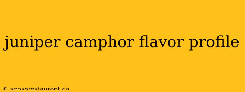 juniper camphor flavor profile