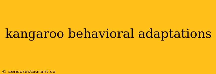 kangaroo behavioral adaptations