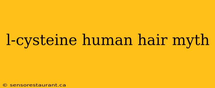 l-cysteine human hair myth