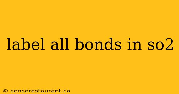 label all bonds in so2