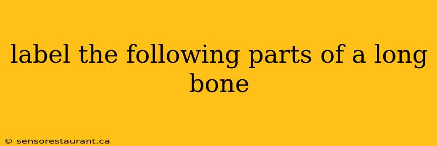 label the following parts of a long bone