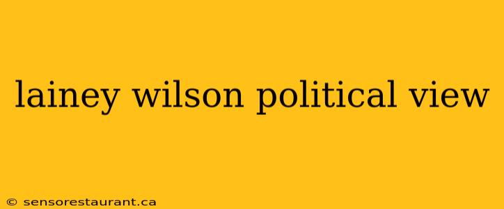 lainey wilson political view