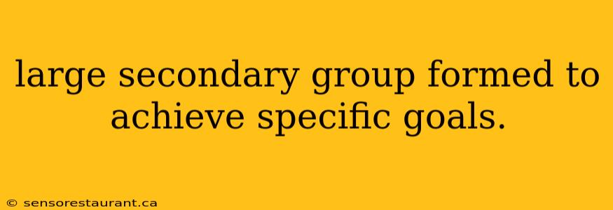 large secondary group formed to achieve specific goals.