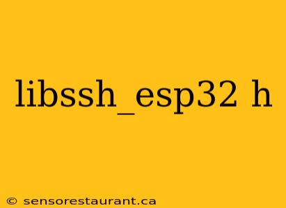 libssh_esp32 h