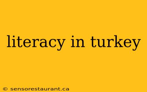 literacy in turkey