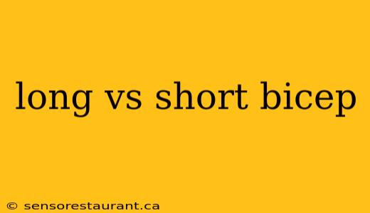 long vs short bicep