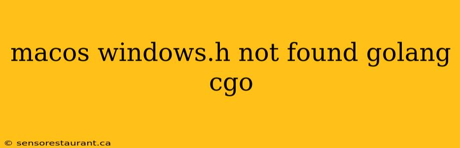 macos windows.h not found golang cgo