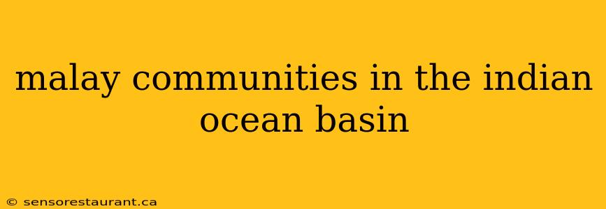 malay communities in the indian ocean basin