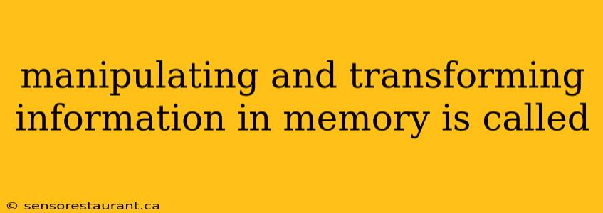 manipulating and transforming information in memory is called