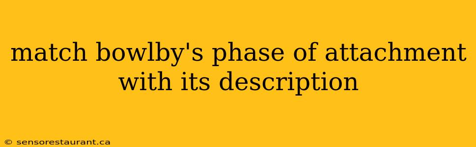 match bowlby's phase of attachment with its description