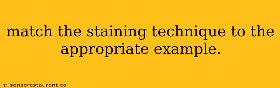 match the staining technique to the appropriate example.