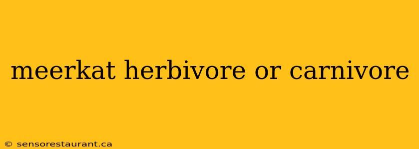 meerkat herbivore or carnivore