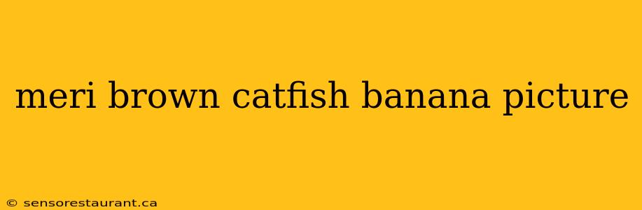 meri brown catfish banana picture