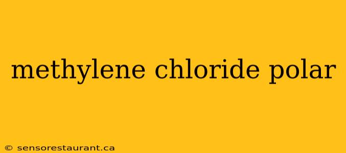 methylene chloride polar