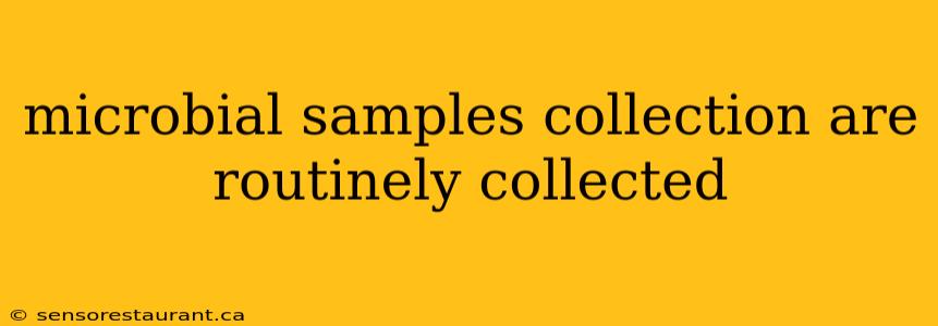 microbial samples collection are routinely collected