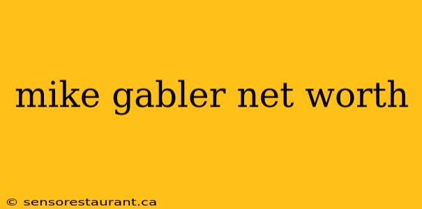 mike gabler net worth