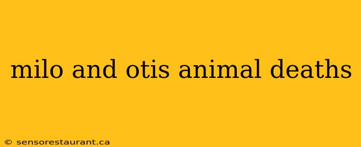 milo and otis animal deaths