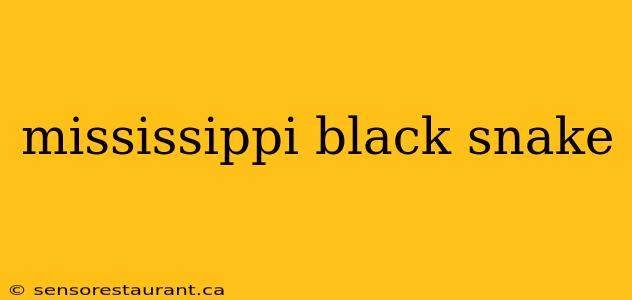 mississippi black snake