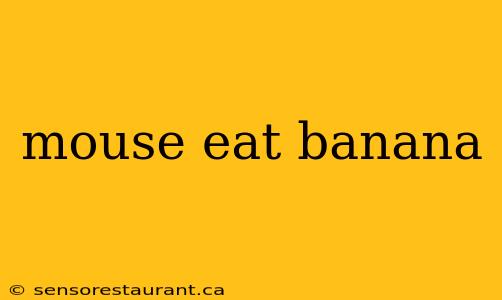 mouse eat banana