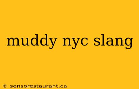 muddy nyc slang