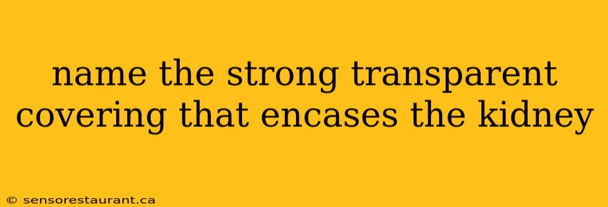 name the strong transparent covering that encases the kidney