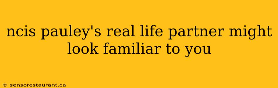 ncis pauley's real life partner might look familiar to you