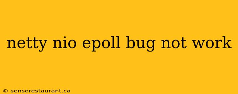 netty nio epoll bug not work