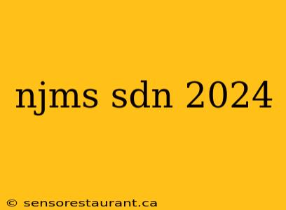 njms sdn 2024