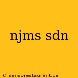 njms sdn