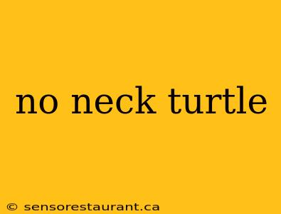 no neck turtle