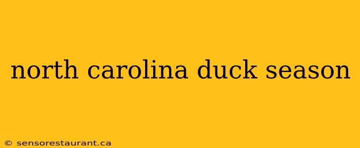 north carolina duck season