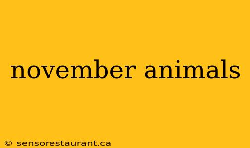 november animals