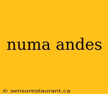 numa andes