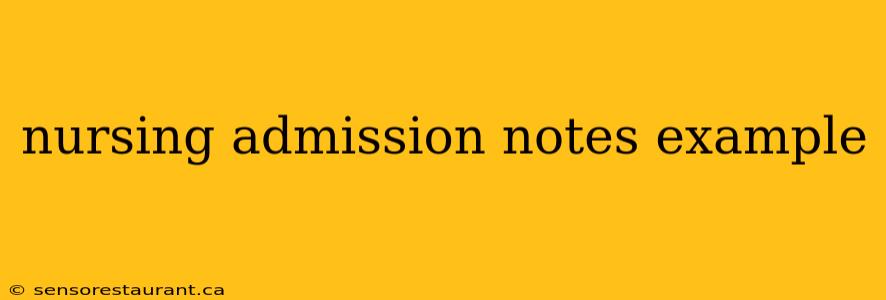 nursing admission notes example