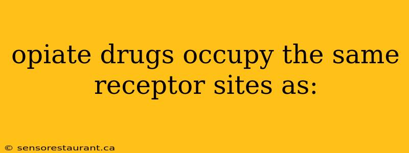 opiate drugs occupy the same receptor sites as: