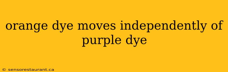 orange dye moves independently of purple dye